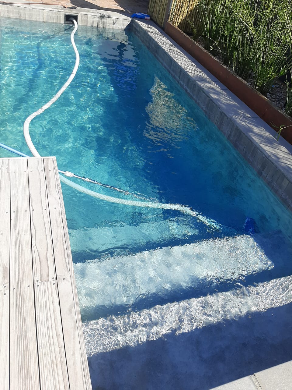Pool Cleaning Progress - Crystal Clear Results